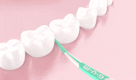 Pourquoi utiliser des brossettes interdentaires ? - On vous donne 3 raisons ! gif how to clean step 4 cleaning back teeth